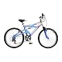 Schwinn 24 Inch Girls GS-25 Bike