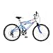 Schwinn 24 Inch Girls GS-25 Bike