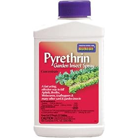 Pyrethrin Spray Concentrate, 1 Pt