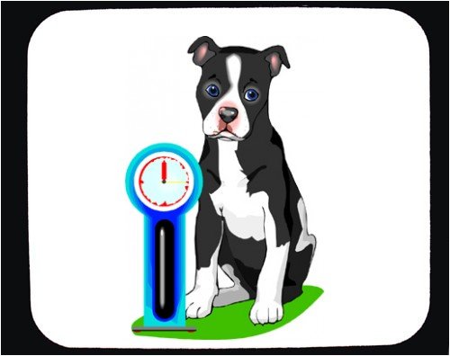 image link -  - B000T5R0ZE