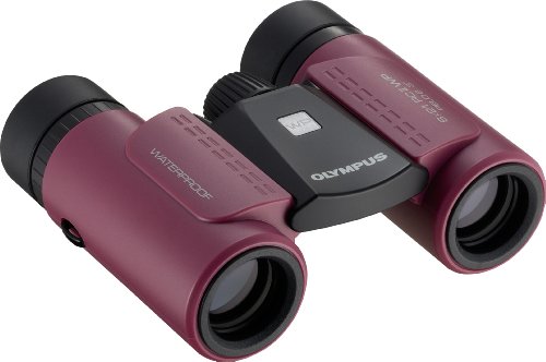 Olympus 8 x 21 RC II WP Fernglas magenta Preisvergleich
