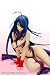 Ikki Tousen Kanu Unchou China Dress Sukesuke Damage 1/7 Scale Figure