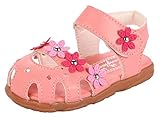 Ziweiba 女の子プリンセス シューズ ガールズサンダル 子供用歩行靴 女児夏靴 爪先保護 穴柄通気よく マジック留め 梅花モチーフ (13.3cm, B)