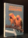 Taming and Training Conures