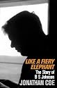 Like A Fiery Elephant: The Story of B.S. Johnson