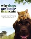 Why Dogs are Better Than Cats