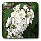 WhiteOak Photography Floral Prints - Oakleaf Hydrangea White Flowering Bush - Light Switch Covers - double toggle switch