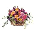 Save on Mounded Baskets