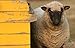 Victorian Farm: Rediscovering Forgotten Skills