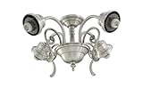 Monte Carlo MC66EP-L English Pewter (EPACT Compliant) Fan Light Kit