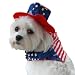 Anit Accessories Patriotic Bandana and Hat Dog Costume, 20-Inch