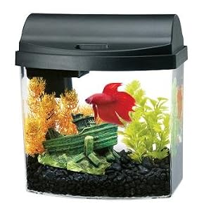 Aqueon Double Sided Black Mini Bow Desktop Aquarium Kit
