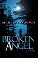 Broken Angel: A Novel