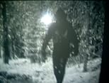 The Snow Walker