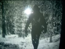 The Snow Walker