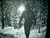 The Snow Walker