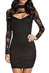 Sexy Polyester/Spandex High-Neck Lace Cutout Applique Long Sleeves Mini Dress 