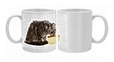 Photo Mugs of Cat - Norwegian forest kitten eating dried catfood from a bowl from Ardea Wildlife Pets