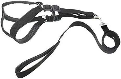 Rocy Classic Adjustable Nylon Dog Halter Harnesses with 4ft Long Pet Leash (Black)