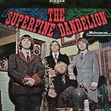 the superfine dandelion LP