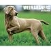 Just Weimaraners 2010 Wall Calendar