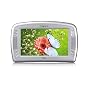 Tivax MiniVu7 7-Inch LCD Widescreen Handheld Digital TV