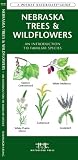 Nebraska Trees & Wildflowers: An Introduction to Familiar Species (Pocket Naturalist Guide)