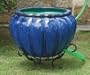 Scalloped Hose Hider - Blue