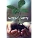 Natural Beauty: A Theory of Aesthetics Beyond the Arts (Critical Issues in Philosophy)