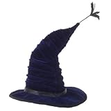 Madame Hooch Hat