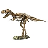 T-Rex Skeleton Model