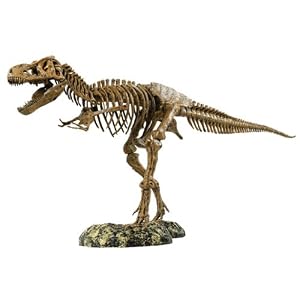 T-Rex Skeleton Model Kit by 