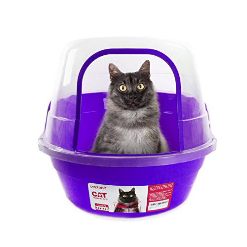 Litter Boxes with Lids
