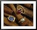 Cinnamon Bark Shows off Rings of Ruby, Diamond and Sapphire Found in the Wreckage Costume & Fashion Framed Art Poster Print by Sisse Brimberg, 39x31