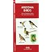 Arizona Birds: An Introduction to Familiar Species (State Nature Guides)