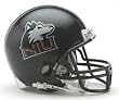Northern Illinois Huskies Miniature Replica NCAA Helmet w/Z2B Mask by Riddell
