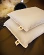 Organic Kapok Bed Pillow
