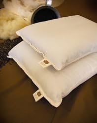 Organic Kapok Bed Pillow