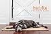Mighty Paw Dog Doorbells - Soft Leather with Durable Jingle Bells - Ideal for Potty Training - for Pets to Ring to Go Outside - Dog Potty and Puppy Potty Training - (Black)