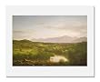 Thomas Cole, River in the Catskills