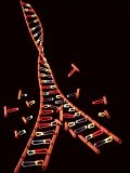 Representation Showing Double Helix Structure of a Segment of Dna Molecule Photographic Poster Print, 30x40