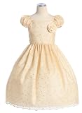 New Metallic Embroidered Mesh Dress in Choice of Champagne or Pink ~ 2 to 12 Girls