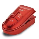 Clip MP3 Player with 1 GB