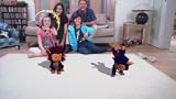 picture of Eyepet & Friends - Move Required (PS3)