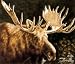 Alaskan Monarch (Le) by Judi Rideout. Size 14.00 inches width by 12.00 inches height. High Quality Art Poster Print