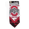 Ohio State Buckeyes OSU NCAA Small Triangle Bandanna ~ NCAA