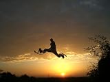 picture of Fly Jumpers Adult