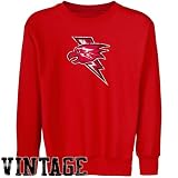 St. Johns Red Storm Youth Red Distressed Logo Vintage Crew Neck Fleece Sweatshirt