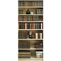 Posters: Biblioth�ques Papier Peint Photo/Poster - Biblioth�que 2 Parties (220 x 92 cm)