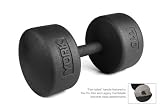 York Barbell 110lb Legacy Solid Professional Round Dumbbell /Pair